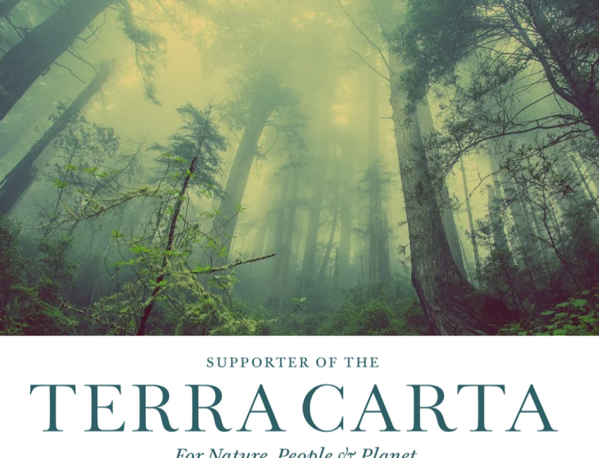 Blue Skies signs up to Terra Carta